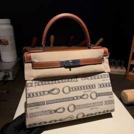 Picture of Hermes Handbags _SKUfw216749417fw